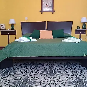  Appartement Venticello Di Mare